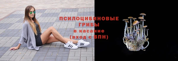 гидропоника Аркадак