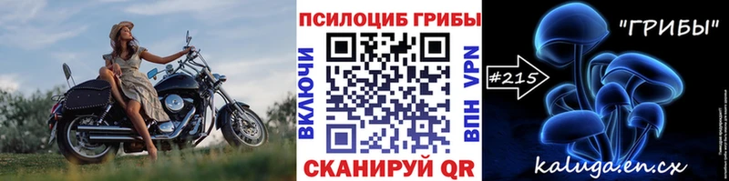 Галлюциногенные грибы мицелий  наркошоп  Оленегорск 